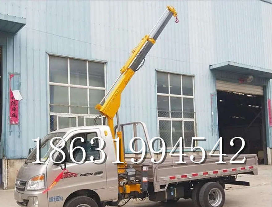大竹县车载吊机车载吊机220v移动吊机多少钱2吨移动车载吊机可拆卸提升机